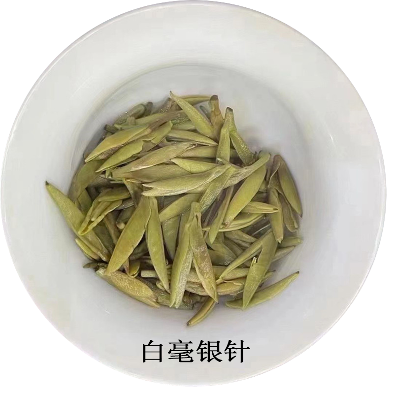 白毫银针